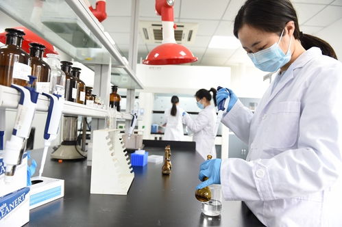 科技管家服務(wù)能手 資陽(yáng)生產(chǎn)力促進(jìn)中心如何以信息技術(shù)咨詢(xún)助力政企發(fā)展